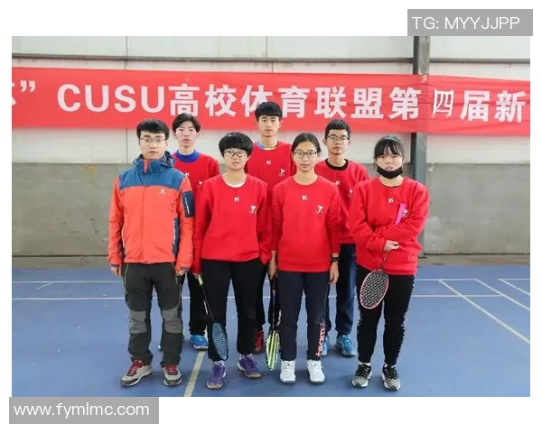 南京羽毛球队的崛起之路精英赛背后的奋斗与荣耀故事